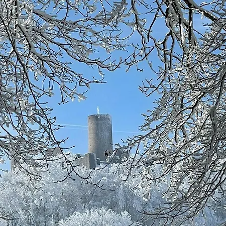 Ringhaus - Of Silver Arrows