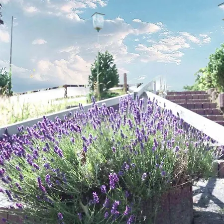 Ringhaus - Of Silver Arrows Nürburg