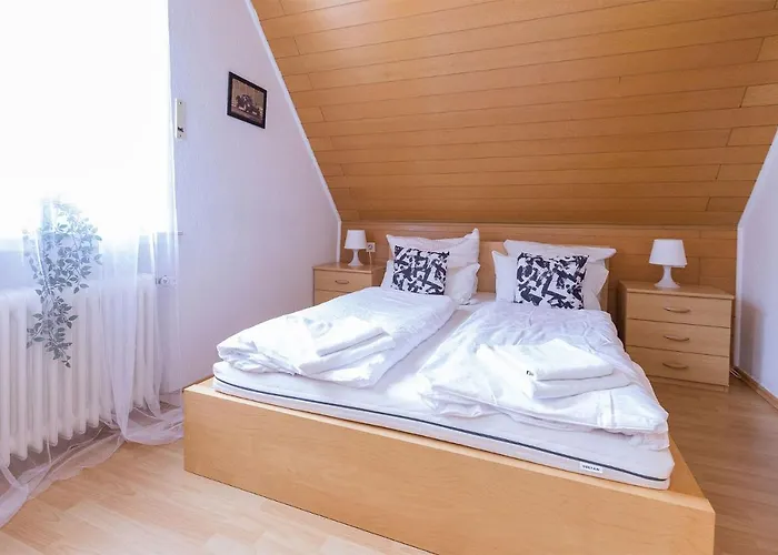 לינה וארוחת בוקר Ringhaus - Of Silver Arrows 3*