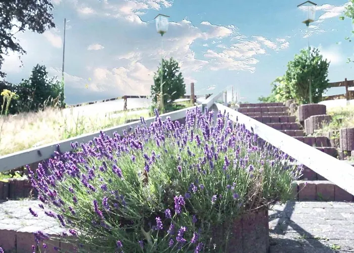 Ringhaus - Of Silver Arrows 尼尔堡